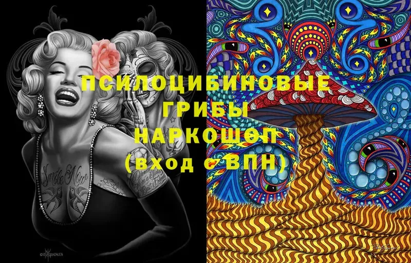 Галлюциногенные грибы Cubensis  Асбест 